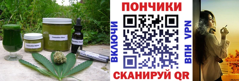 Cannafood марихуана  магазин продажи наркотиков  Шуя 