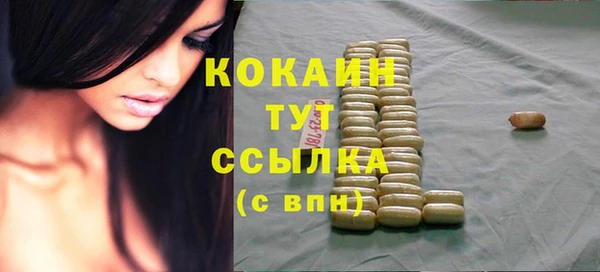 дживик Алзамай