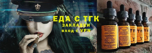 хмурый Алексин
