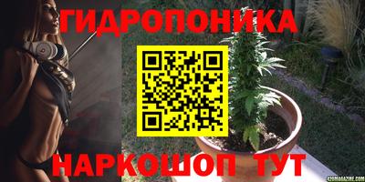 твердый Камышлов