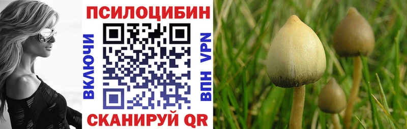 Галлюциногенные грибы GOLDEN TEACHER где можно купить Шуя
