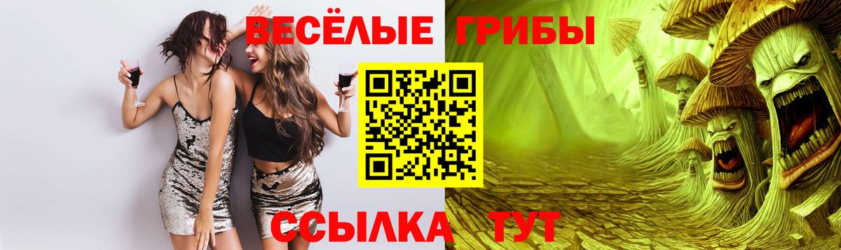 Шуя  Псилоцибиновые грибы мухоморы  Псилоцибиновые грибы Psilocybe  Вход с VPN 